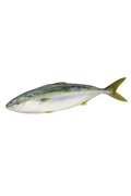 Hamachi