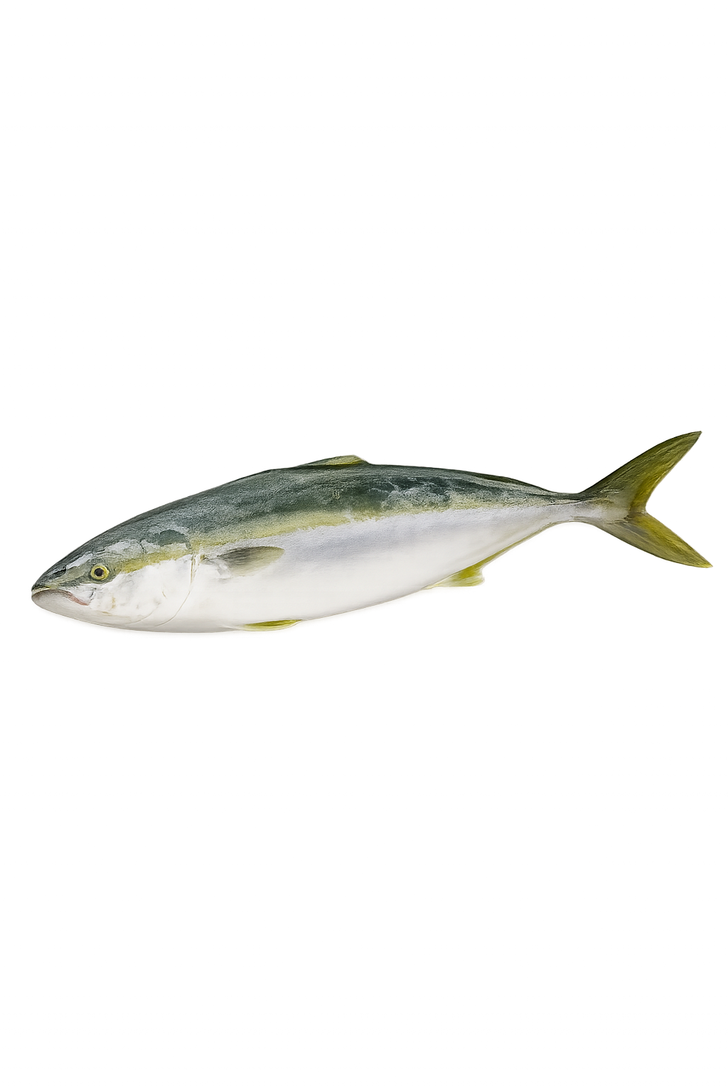 Hamachi